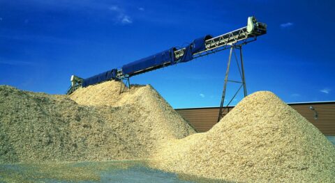 Biyokütle – Biomass