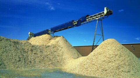 Biyokütle – Biomass